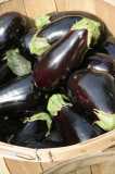 Eggplant-Chris Adams